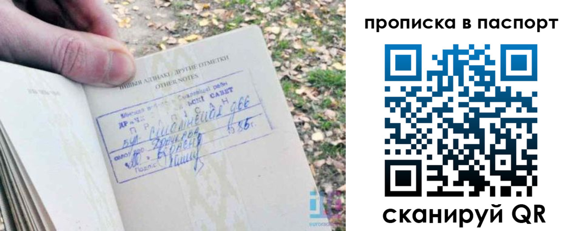 купить прописку в Пересвете